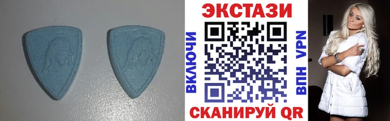 Ecstasy Philipp Plein  купить  цена  Печора 