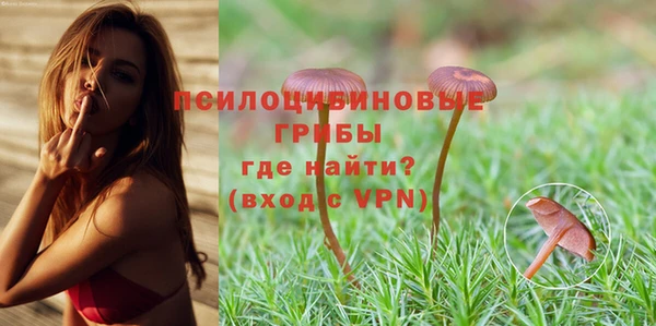 прущий лед Балахна