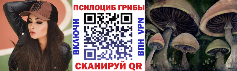 дарнет шоп  Печора  Псилоцибиновые грибы мухоморы 